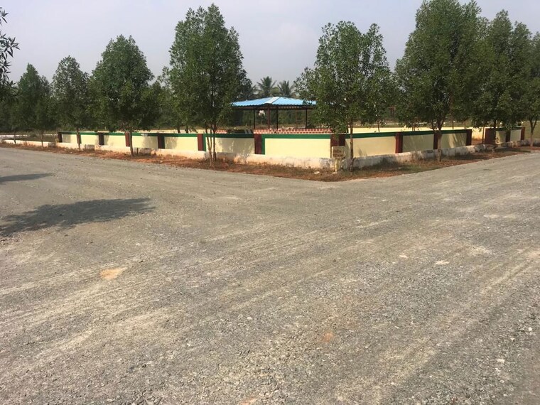 Exterior View, cheepurupalli  167 Sq.Yd. Plot In Cheepurupalli Vizianagaram 9746344