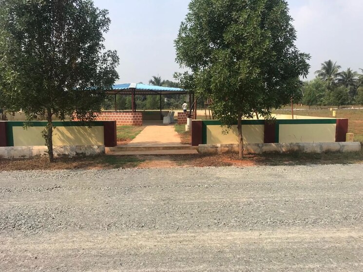 Exterior View, cheepurupalli  167 Sq.Yd. Plot In Cheepurupalli Vizianagaram 9746344