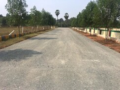 Plot For Sale in Cheepurupalli