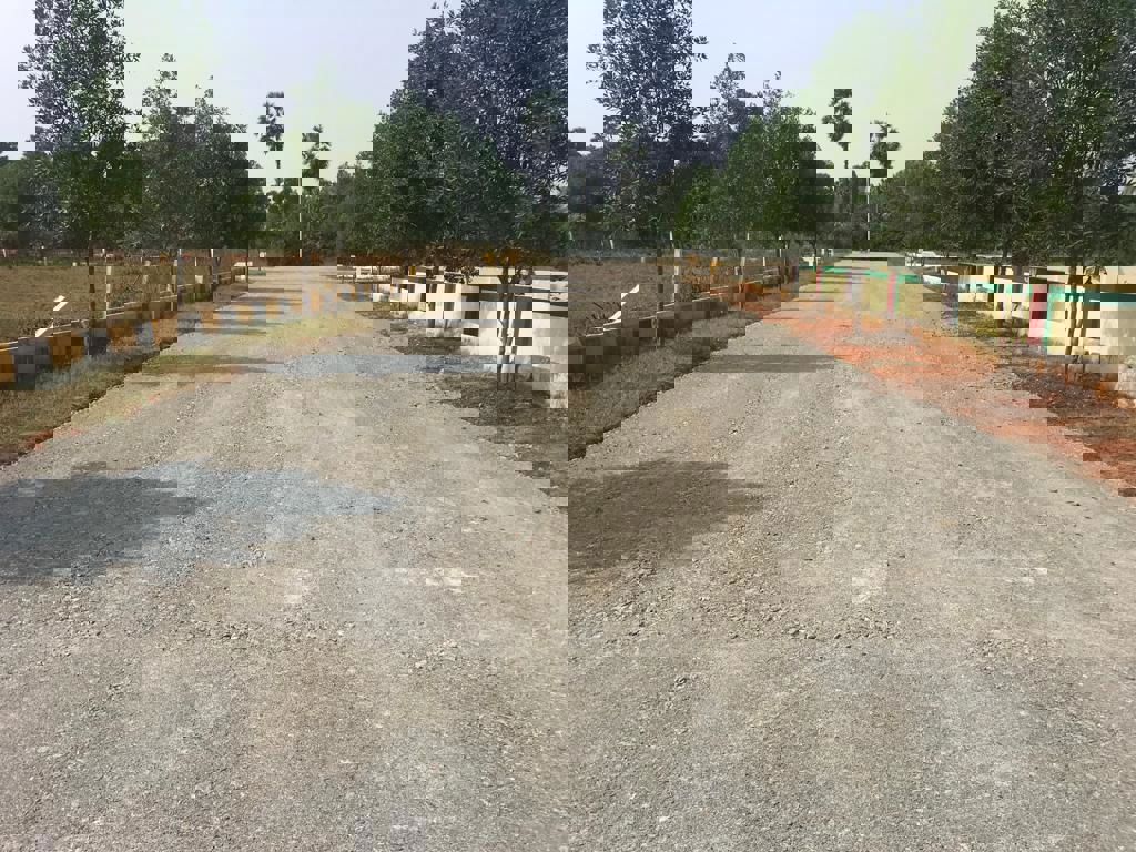 Plot For Sale in Cheepurupalli