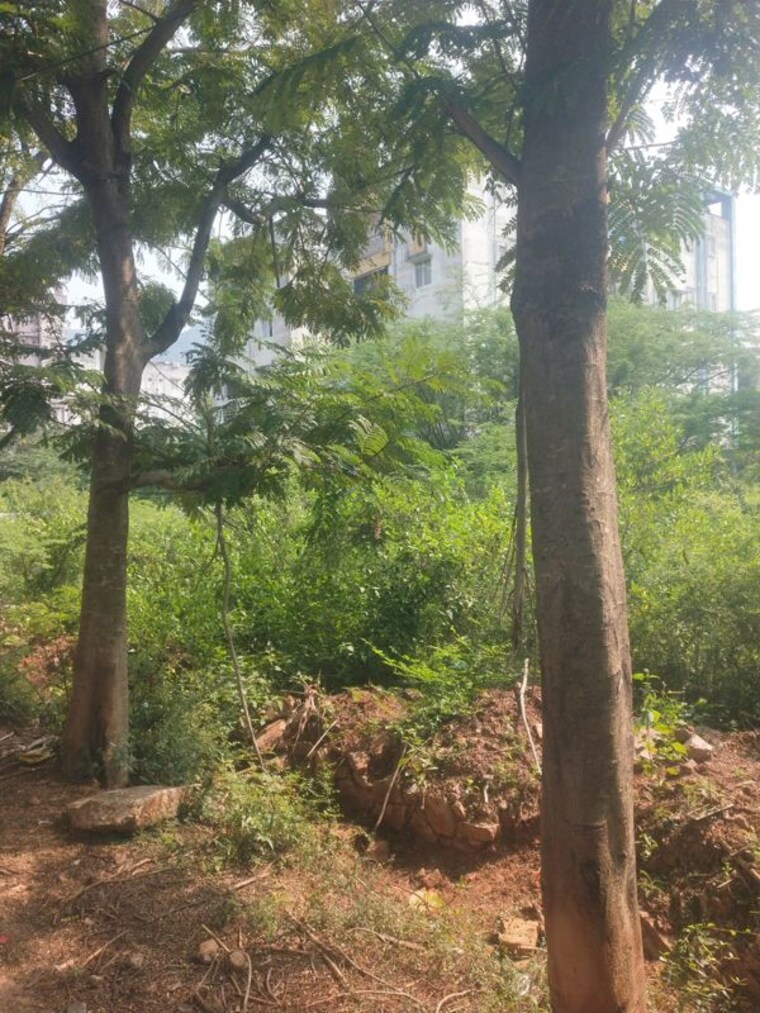 Garden, sujatha nagar  300 Sq.Yd. Plot In Sujatha Nagar Vizag 9746551