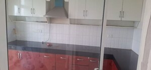Kitchen in 2 BHK Apartment at BPTP Park Prime, Sector 66 – for Rent