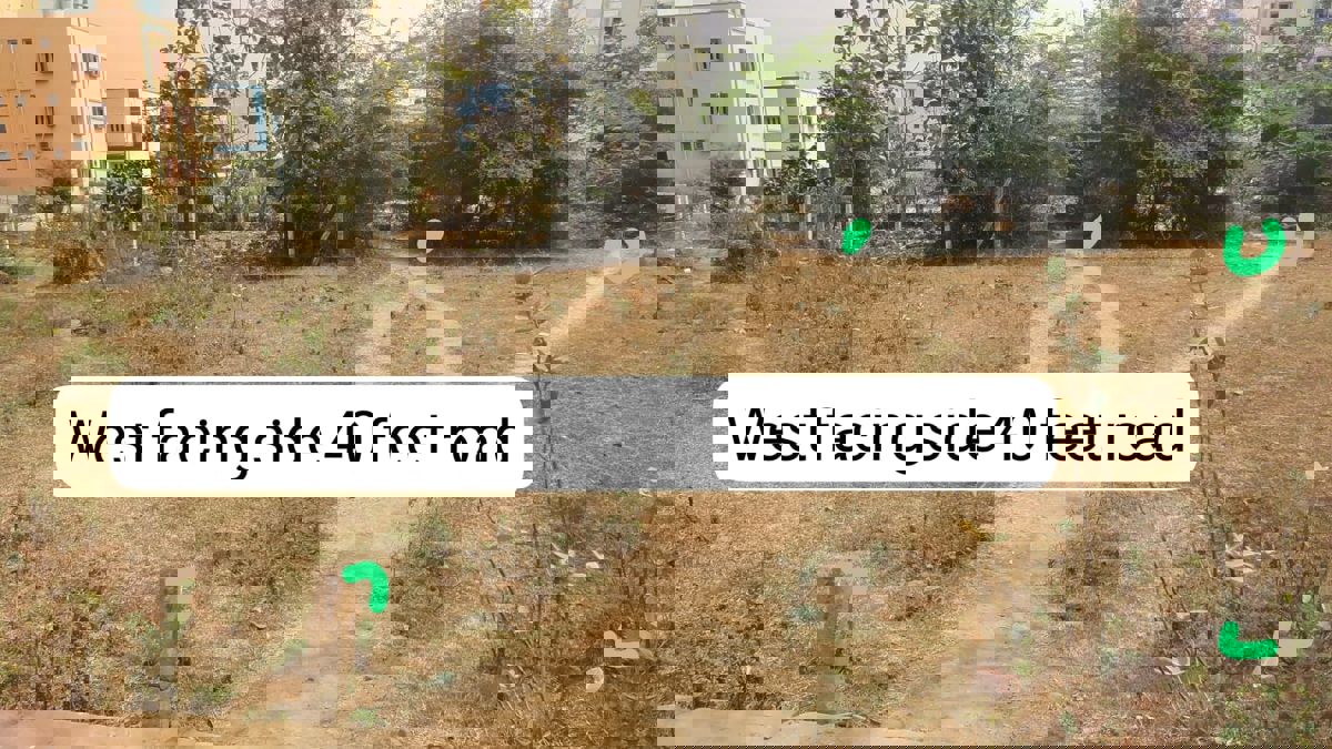 Plot For Sale in Pendurthi