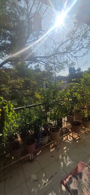 4 BHK Apartment – Garden View at Koregaon Park - for Rent