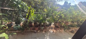 4 BHK Apartment – Garden View at Koregaon Park - for Rent