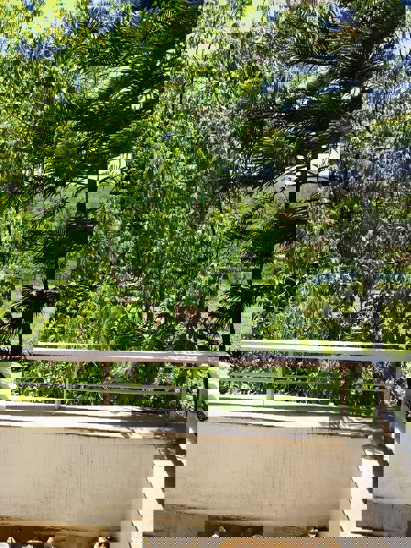 2 BHK + Servant Room 1000 Sq.Ft. Apartment in Rohan Madhuban