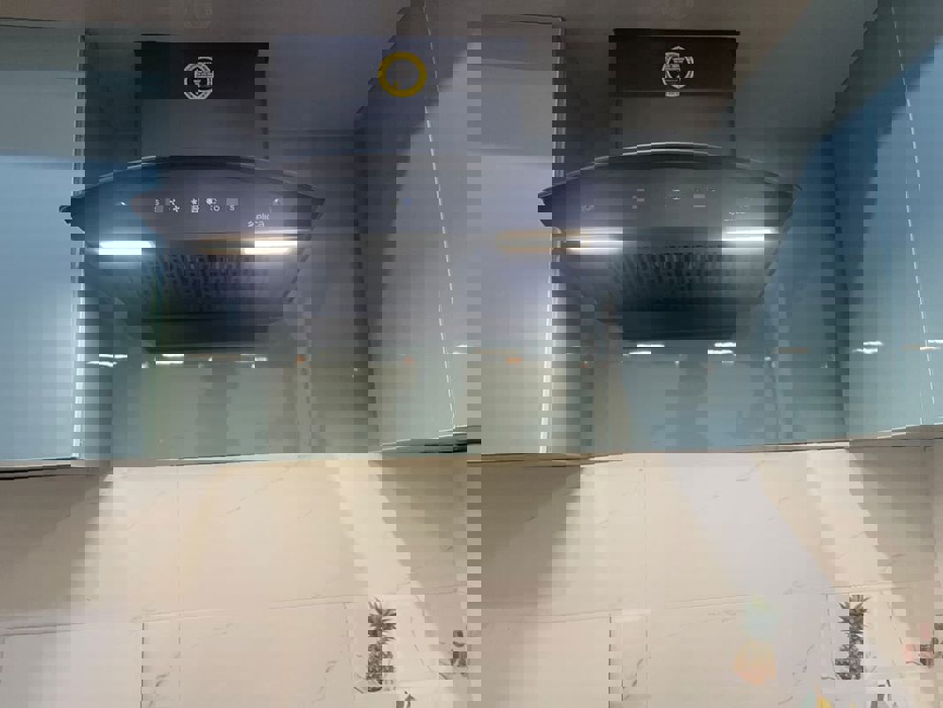 5 BHK + Pooja Room,Study Room,Extra Room Apartment For Rent in Jubilee Hitech