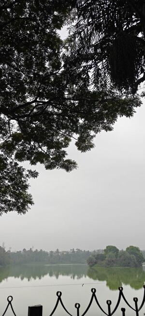 2 BHK Apartment For Rent in Goyal Orchid Piccadilly, Thanisandra Main Road