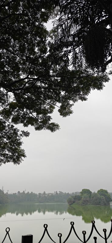 2 BHK Apartment For Rent in Goyal Orchid Piccadilly