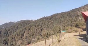 Plot Area in 1 RK Independent House at Chail – for Sale