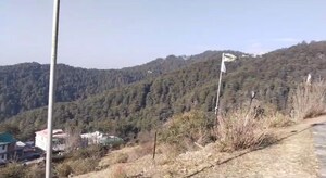 Plot Area in 1 RK Independent House at Chail – for Sale