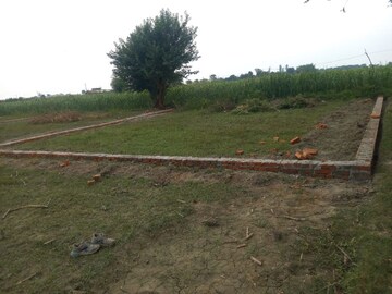  Plot For Sale in Milkipur