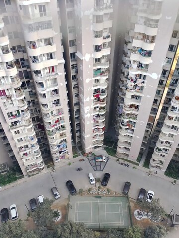 3 BHK Apartment For Rent in Amrapali Crystal Homes, Sector 76