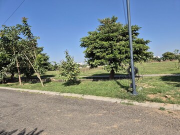 Plot Area in  Plot at Altus Prime, North Mullanpur – for Sale