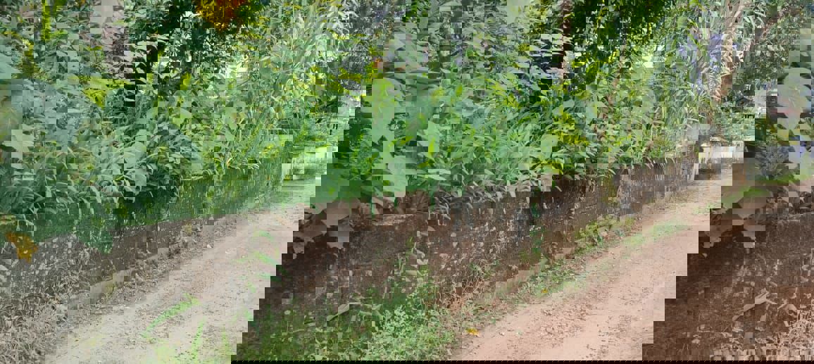 Plot For Sale in Viyyur