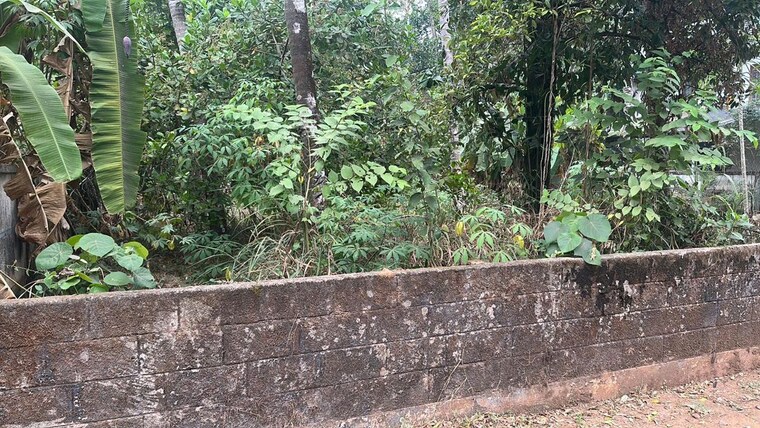 undefined, viyyur  5663 Sq.Ft. Plot In Viyyur Thrissur 9639821