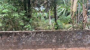 Plot Area in  Plot at Viyyur – for Sale