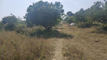  Land For Sale in Shindewadi