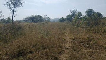 Plot Area in  Land at Shindewadi – for Sale