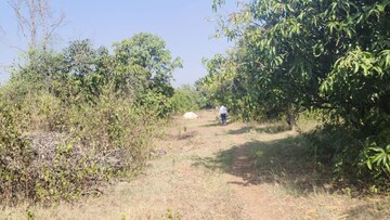 Plot Area in  Land at Shindewadi – for Sale