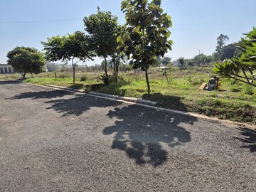 Plot Area in  Plot at Altus Prime, North Mullanpur – for Sale