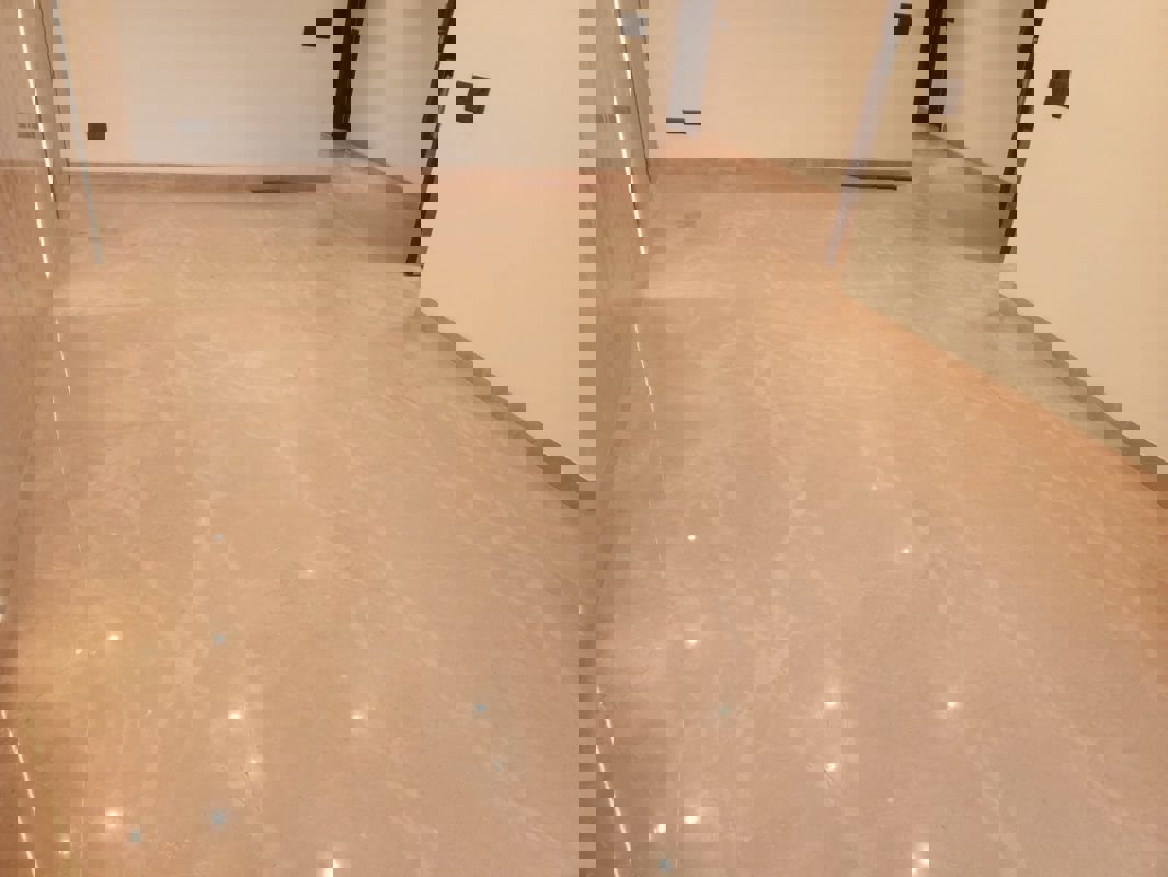 3 BHK Builder Floor For Rent in Housing Board Colony Sector 51