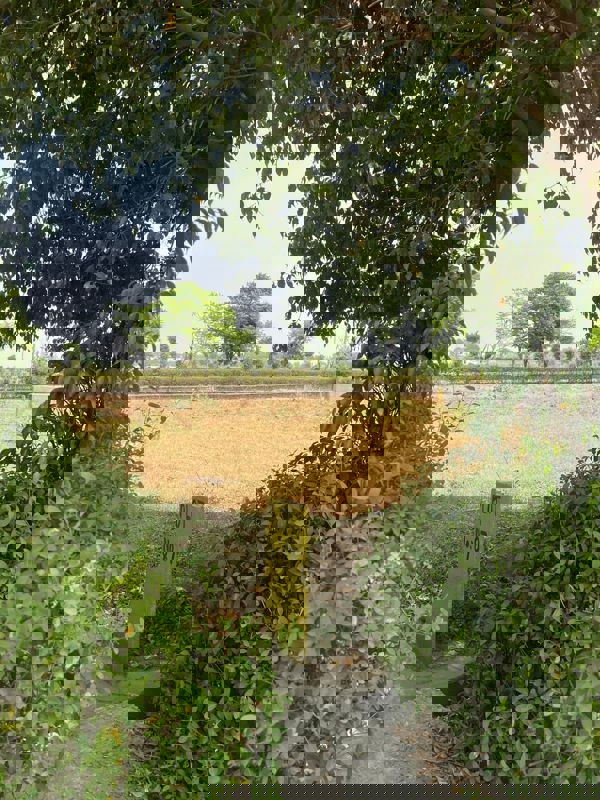 Plot For Sale in Jewar