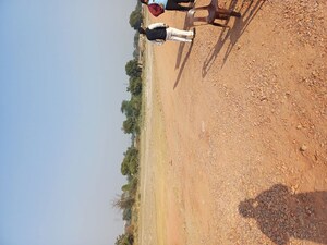 Plot Area in  Plot at Jajru – for Sale