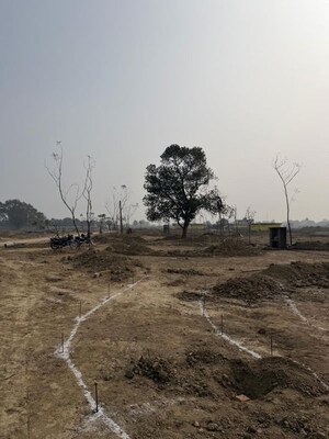 Plot Area in  Plot at Mohanlalganj – for Sale