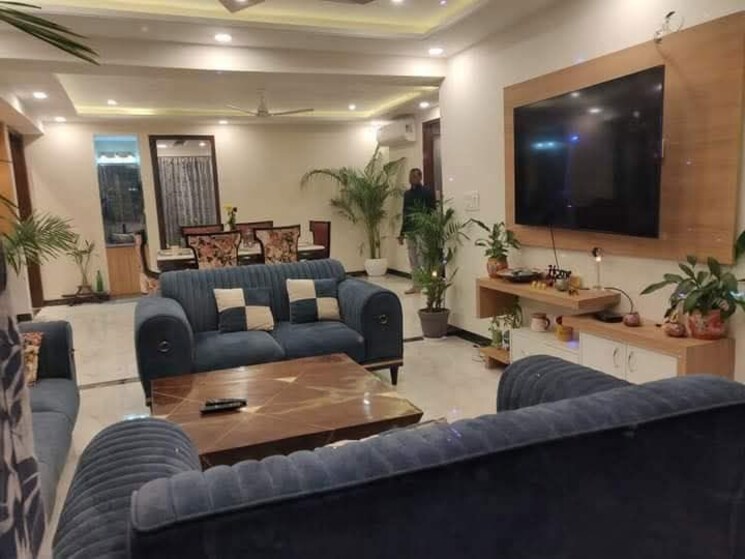 Living Room, saket 2 Bedroom 1000 Sq.Ft. Apartment In Saket Delhi 9748021