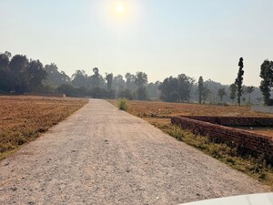 Plot Area in  Plot at Badripur – for Sale