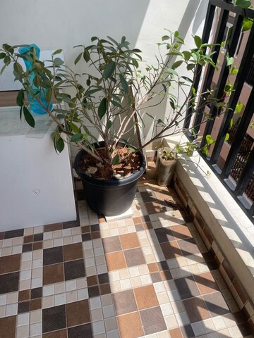 Balcony in 2 BHK Apartment at CJN Sai Fortune, Hoskote – for Sale