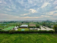 4 BHK + Pooja Room Apartment For Rent in Barnala Green Lotus Avenue