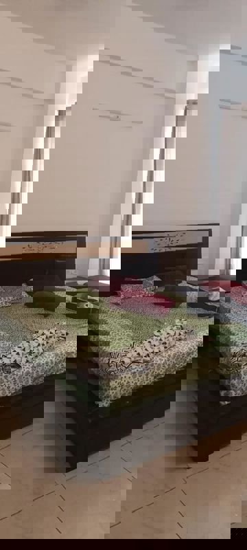 3 BHK Builder Floor For Rent in Housing Board Colony Sector 51