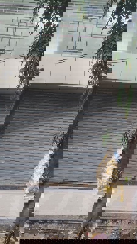 Retail Shop For Rent in NHP W92