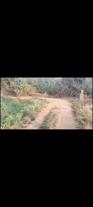 Plot Area in  Land at Kondakal – for Sale