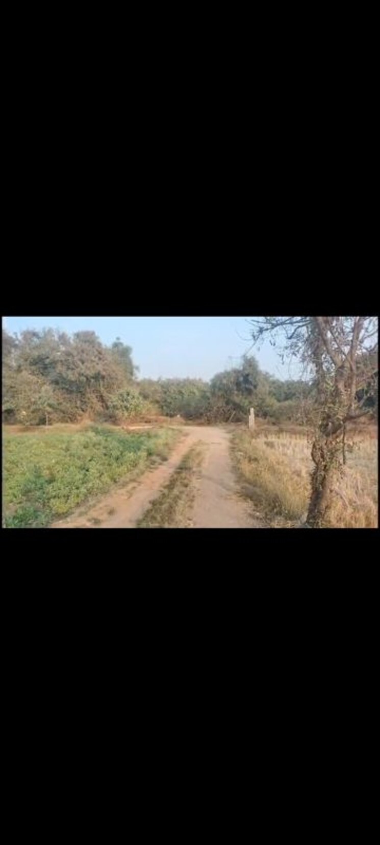 undefined, kondakal Commercial Land 900 Sq.Yd. In Kondakal Hyderabad 9749549