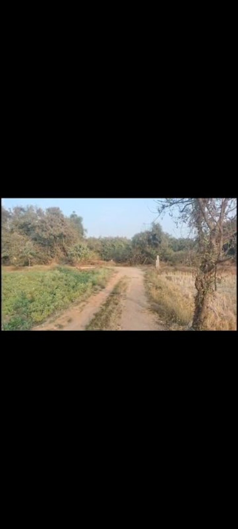 undefined, kondakal Commercial Land 900 Sq.Yd. In Kondakal Hyderabad 9749549