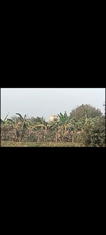 Plot Area in  Land at Kondakal – for Sale