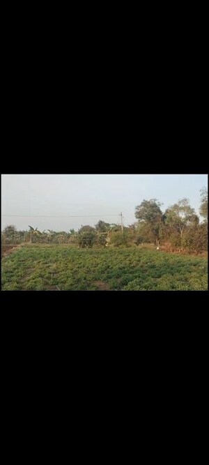  Land For Sale in Kondakal
