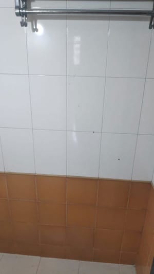 Bathroom in 2 BHK Apartment at Puranik Capitol, Ghodbunder Road – for Rent