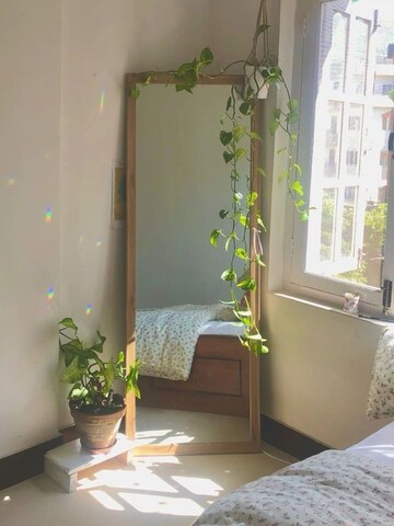 Room in  Pg at Vibhuti Khand – for Rent