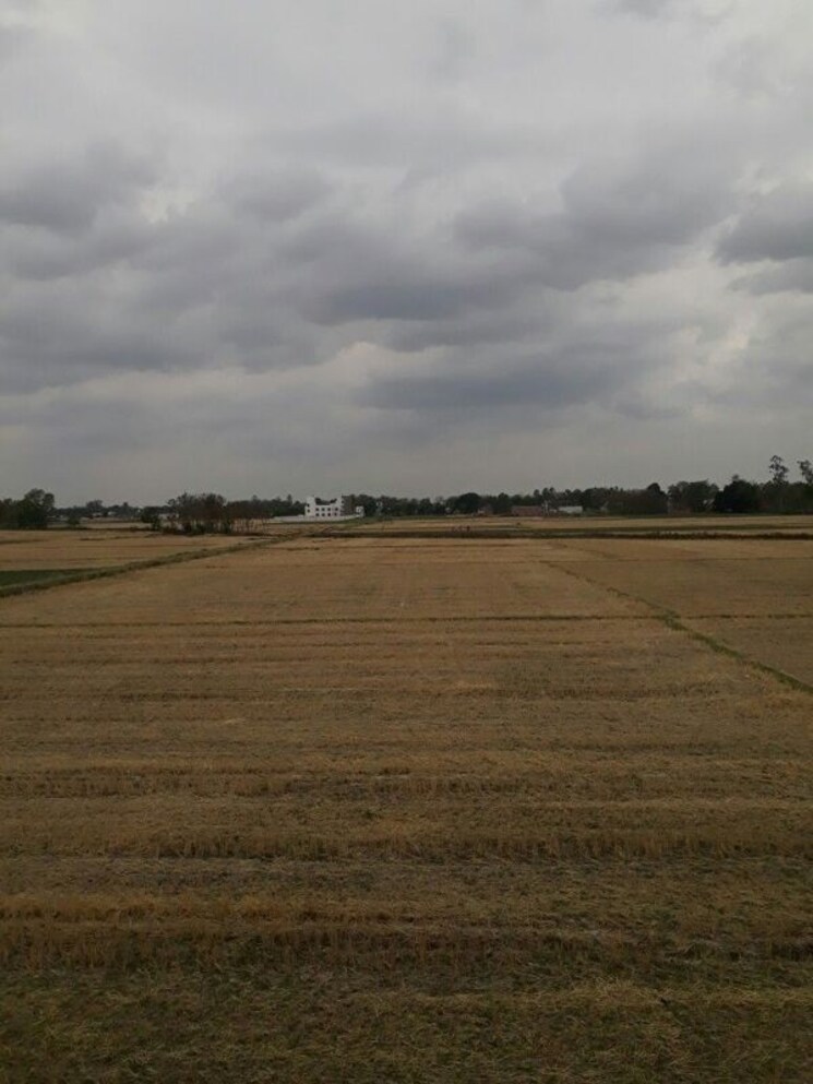 undefined, jewar  100 Sq.Yd. Plot In Jewar Greater Noida 9749728