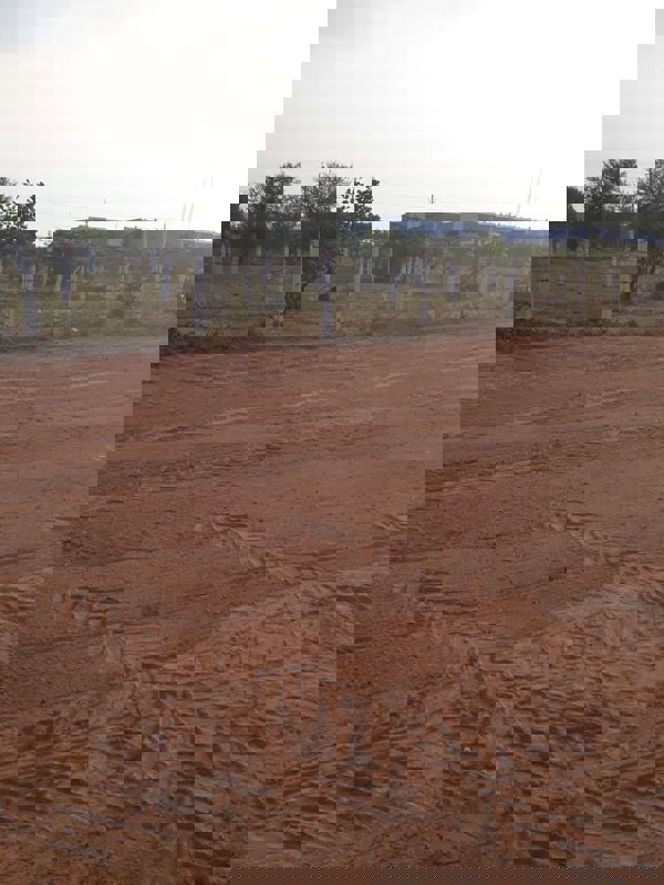 Plot For Sale in Jewar