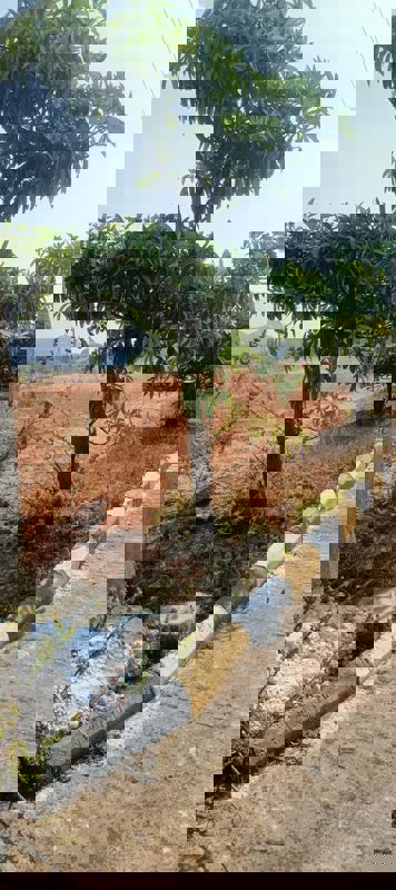 Plot For Sale in Fortune Butterfly City