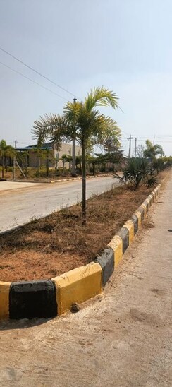 Plot For Sale in Fortune Butterfly City