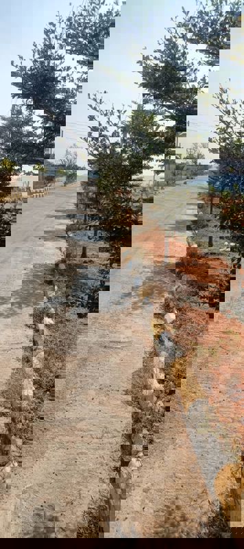 Plot For Sale in Fortune Butterfly City