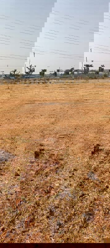 Plot For Sale in Fortune Butterfly City