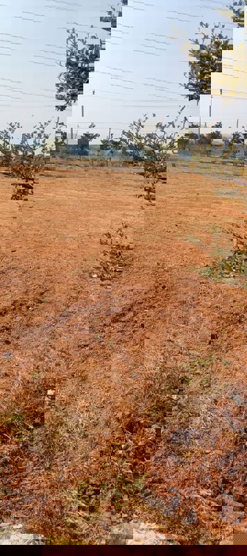 Plot For Sale in Fortune Butterfly City