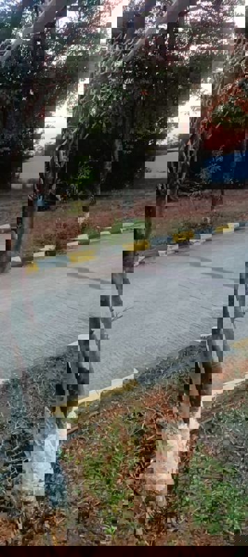 Plot For Sale in Fortune Butterfly City